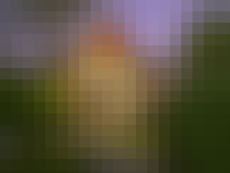 featured property main image