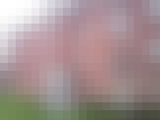 featured property main image